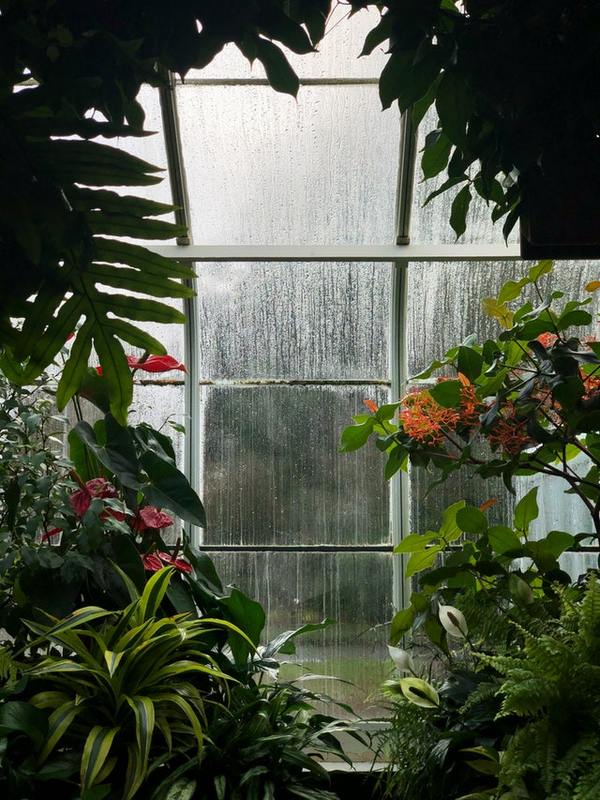 jardin invirno